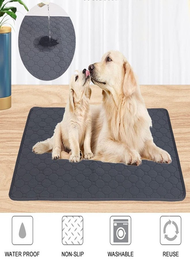 Petlicious & More® Washable Training Pads for Dogs | Non Slip Pads for Puppies (60X90 cm) | Reusable Pads| Reusable Training Pads for Puppies (Set of 2) - Image 5